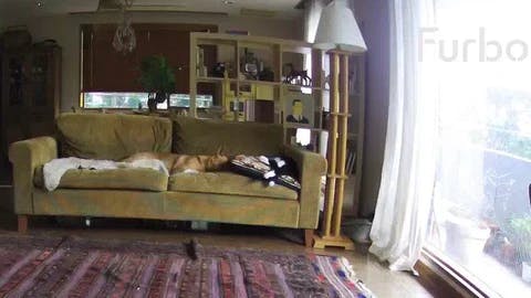 エバゴス　石田ゆり子　ファーバッグ エバゴス 石田ゆり子 ファーバッグ